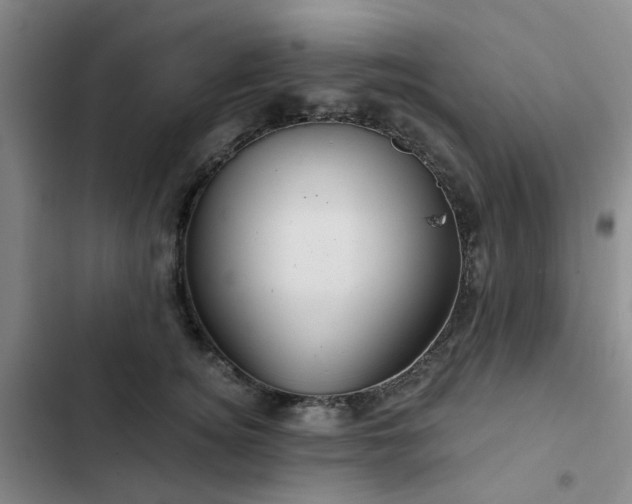 X0000102490756200808221730