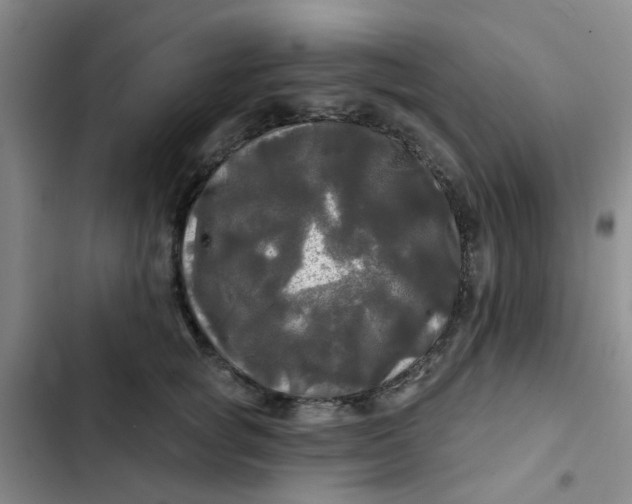 X0000102490757200808221730