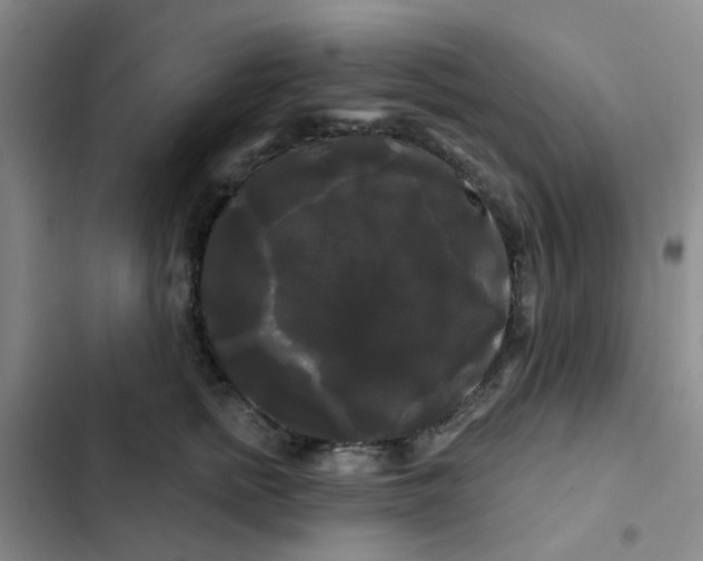 X0000102490758200808221730