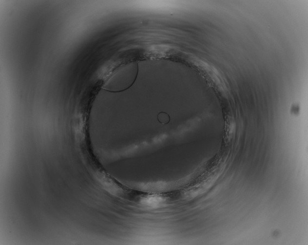 X0000102490759200808221730