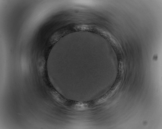 X0000102490760200808221730