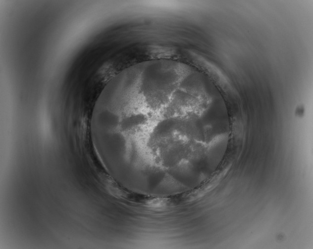 X0000102490761200808221730