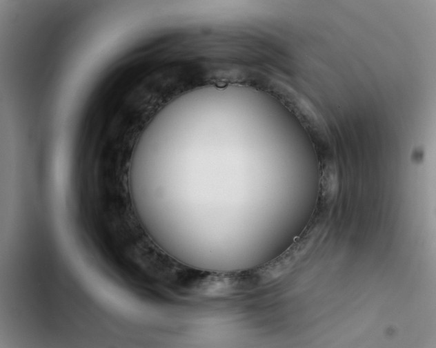 X0000102490764200808221730