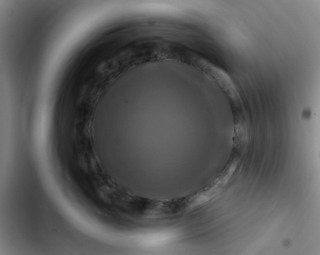 X0000102490765200808221730