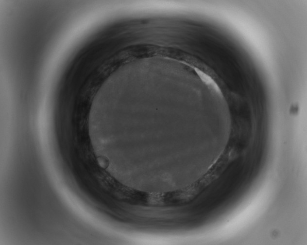 X0000102490766200808221730