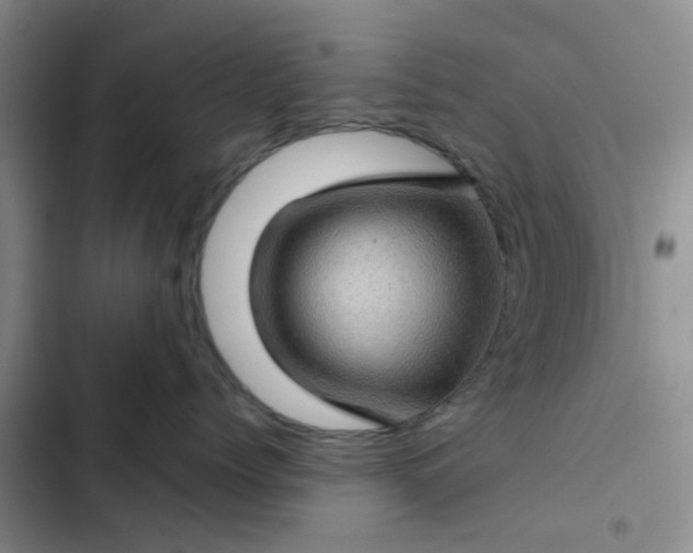 X0000102490768200808221730