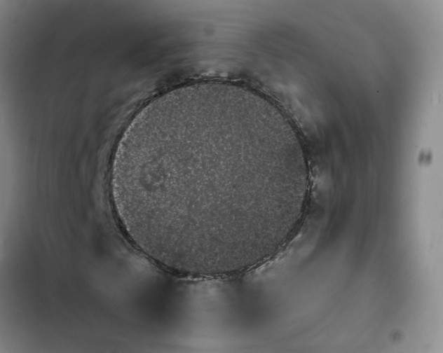 X0000102490769200808221730