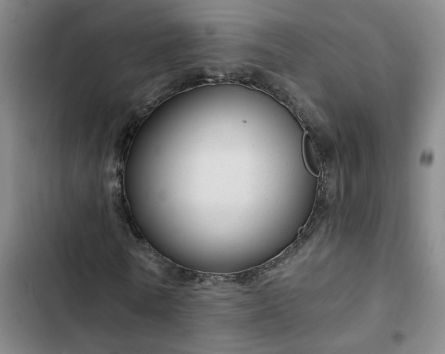 X0000102490770200808221730