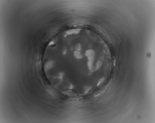 X0000102490771200808221730