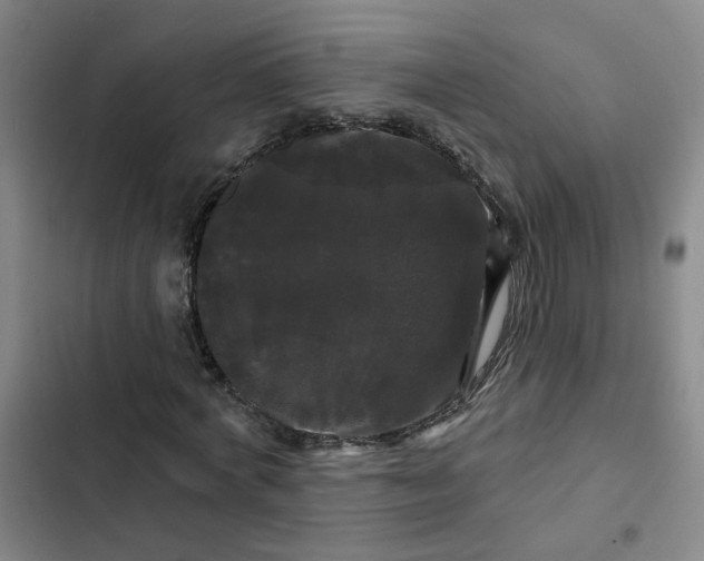 X0000102490772200808221730