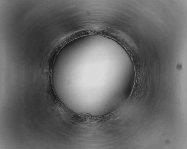 X0000102490773200808221730