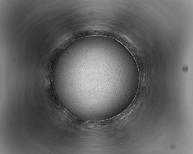 X0000102490774200808221730