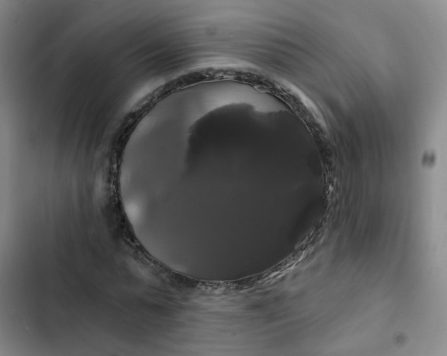 X0000102490775200808221730