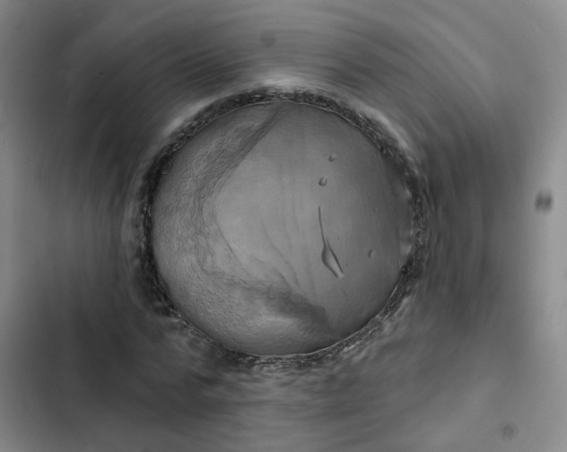 X0000102490776200808221730