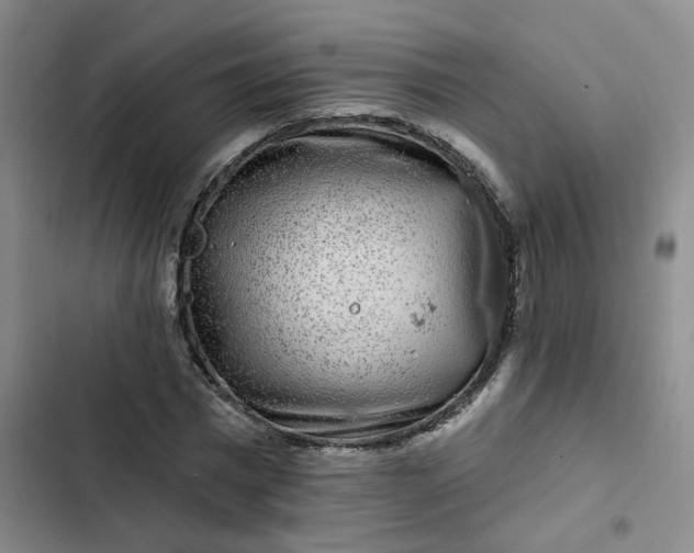 X0000102490777200808221730