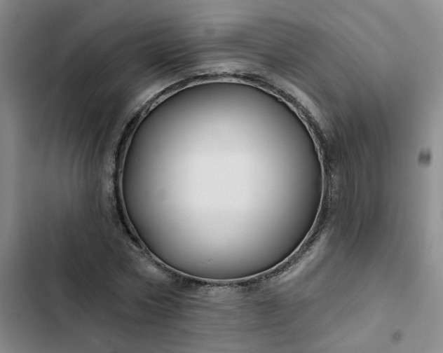 X0000102490778200808221730