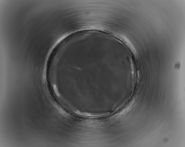 X0000102490780200808221730