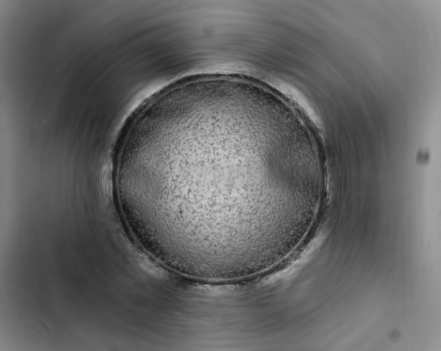 X0000102490781200808221730