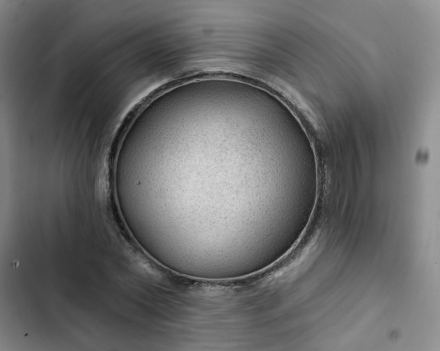 X0000102490782200808221730