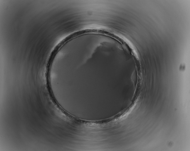 X0000102490783200808221730