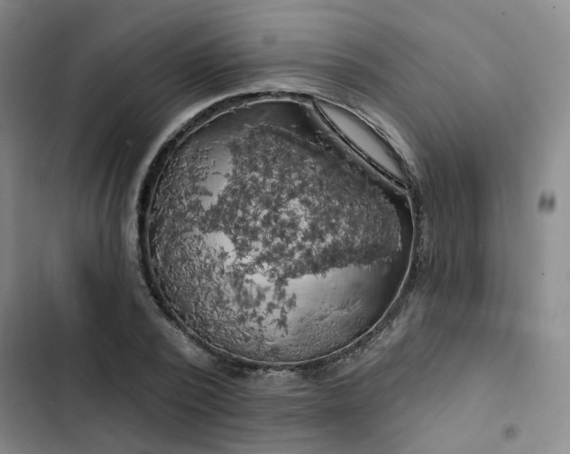 X0000102490784200808221730