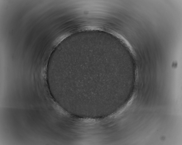 X0000102490785200808221730