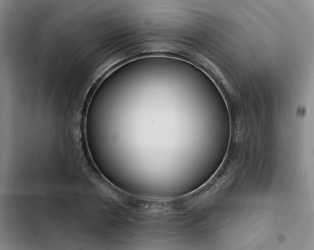 X0000102490786200808221730