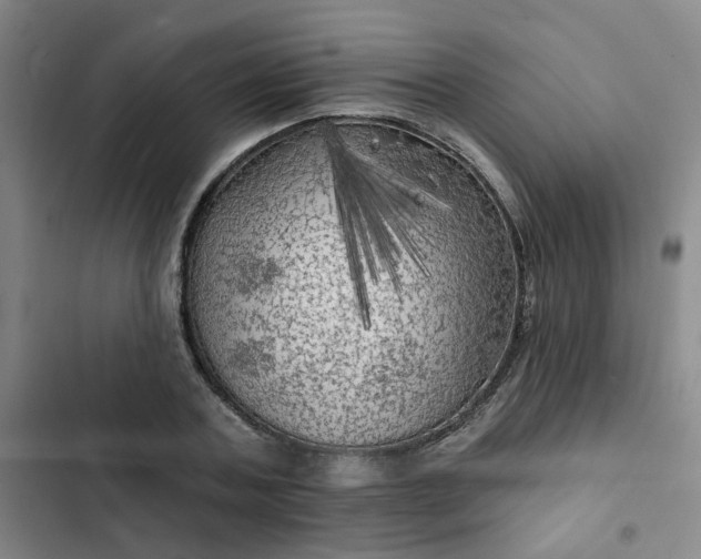 X0000102490787200808221730