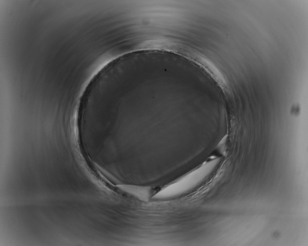 X0000102490788200808221730