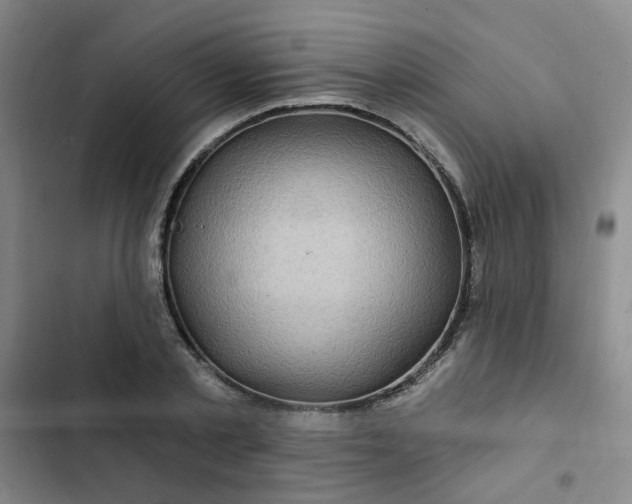 X0000102490789200808221730