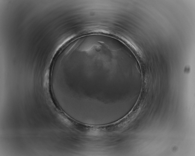 X0000102490790200808221730