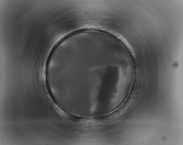 X0000102490791200808221729