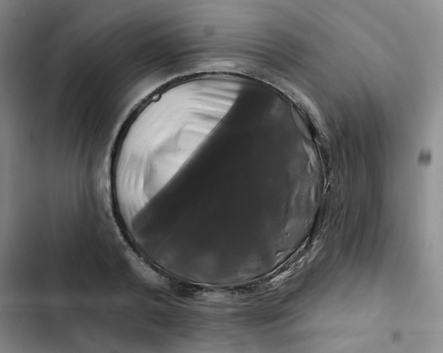 X0000102490792200808221729