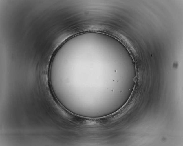 X0000102490794200808221729