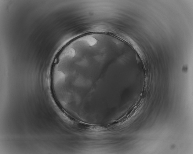 X0000102490795200808221729