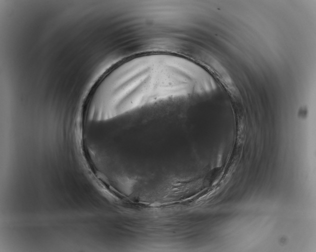 X0000102490796200808221729