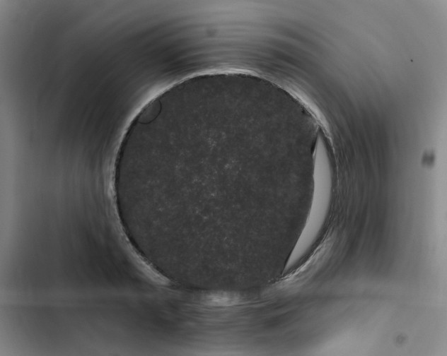 X0000102490797200808221729