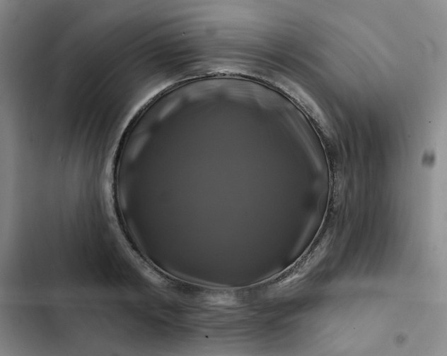 X0000102490798200808221729