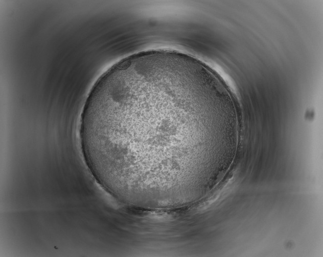 X0000102490799200808221729