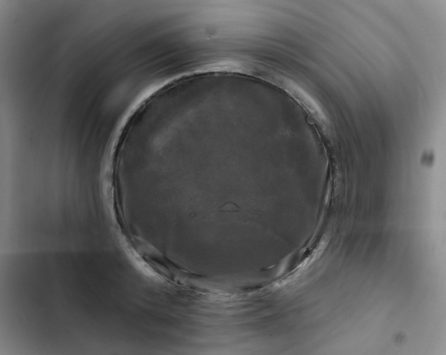 X0000102490800200808221729