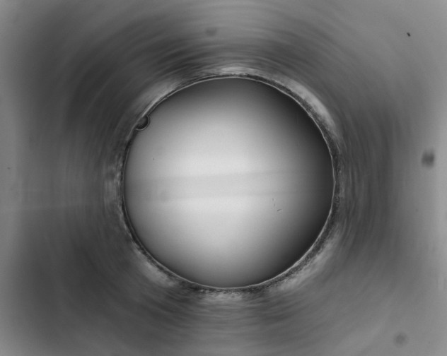 X0000102490801200808221729