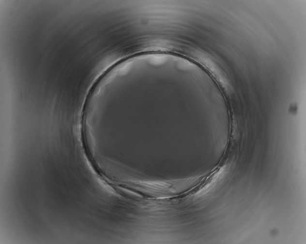 X0000102490802200808221729