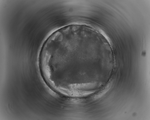 X0000102490803200808221729