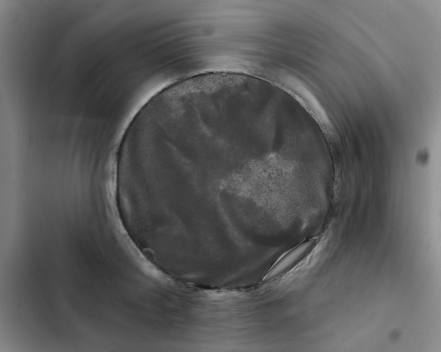 X0000102490804200808221729