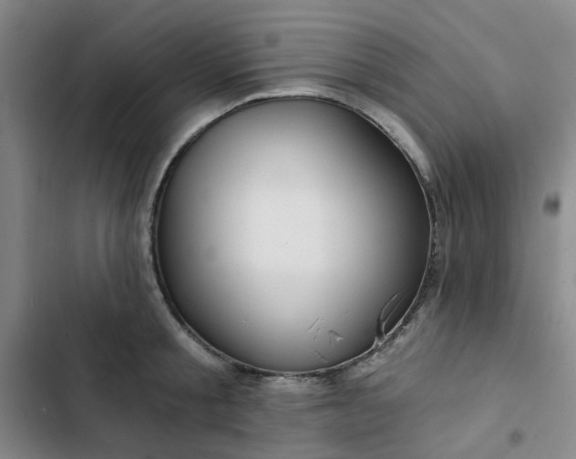 X0000102490805200808221729