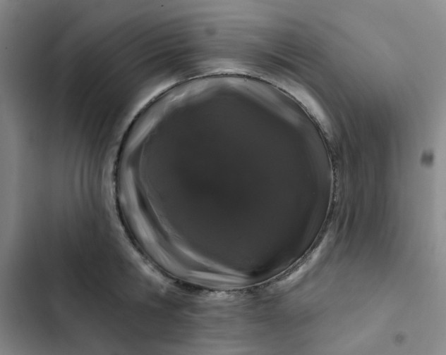 X0000102490806200808221729