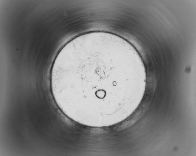 X0000102490807200808221729