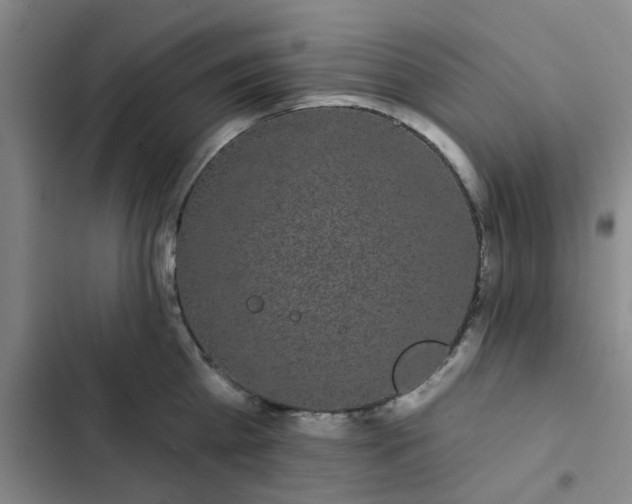 X0000102490809200808221729