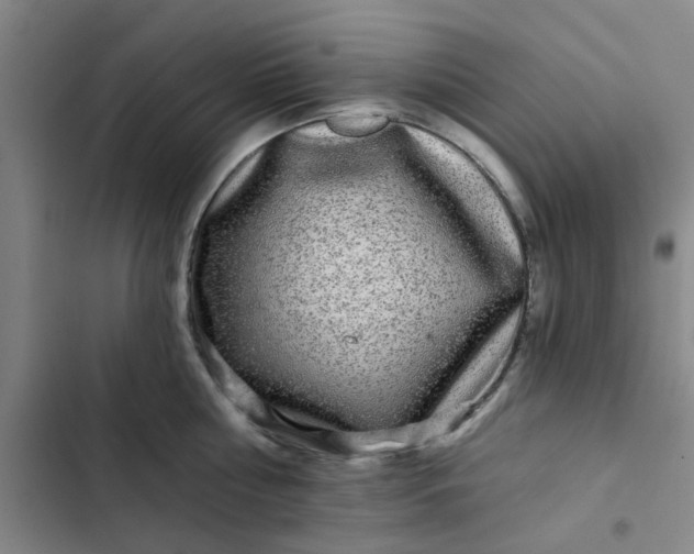 X0000102490810200808221729