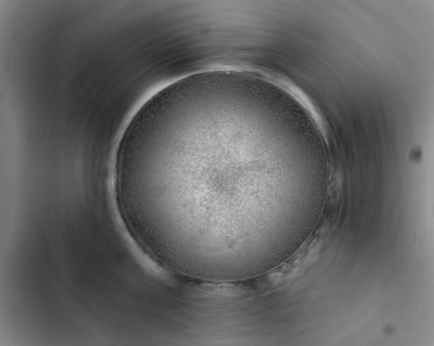 X0000102490811200808221729